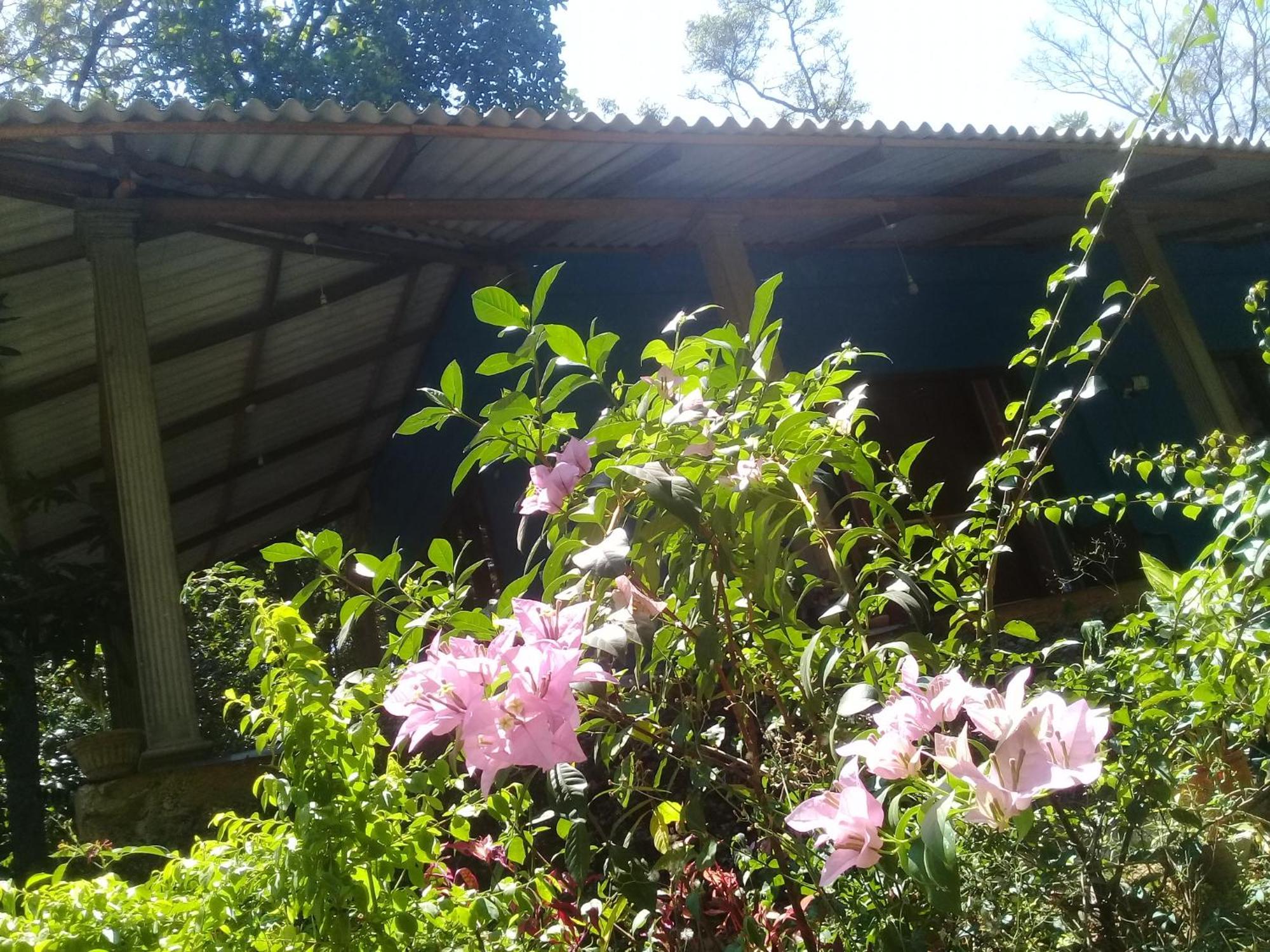 Dambulla Sun Vsh Holiday Exteriör bild